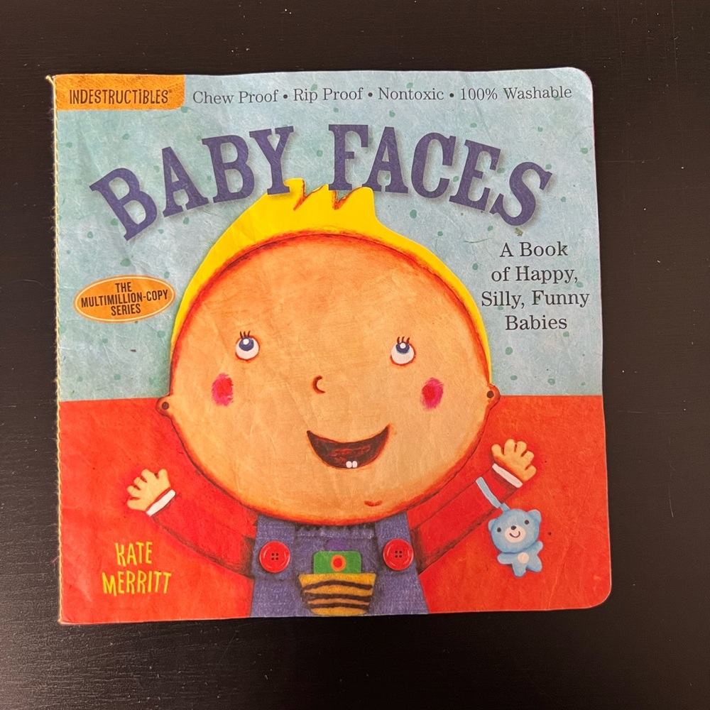 A LOT of 10 INDESTRUCTIBLES- Books...AMAZING FOR TEETHING! A Serious Must Have! - Picture 12 of 12